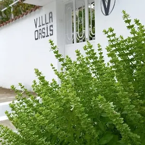 Oasis Bed & Breakfast